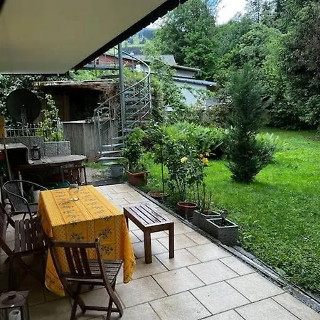 Bachrauschen Im Dreisamtal *